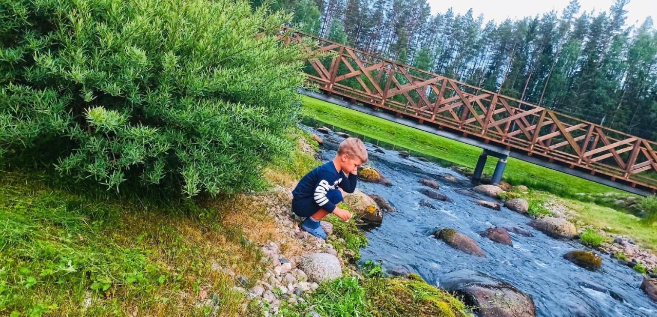Laagriplats Orupohja Kaempingud Ja Telkimisala *